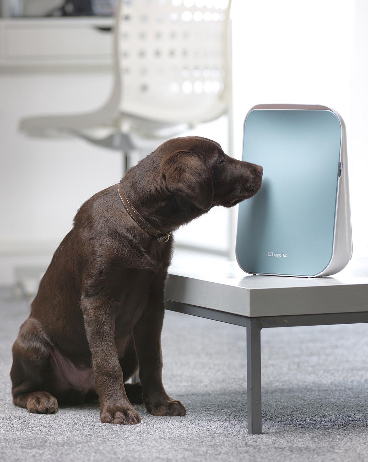 Dimplex DXAPV3N HEPA Air Purifier With Viro3 Technology
