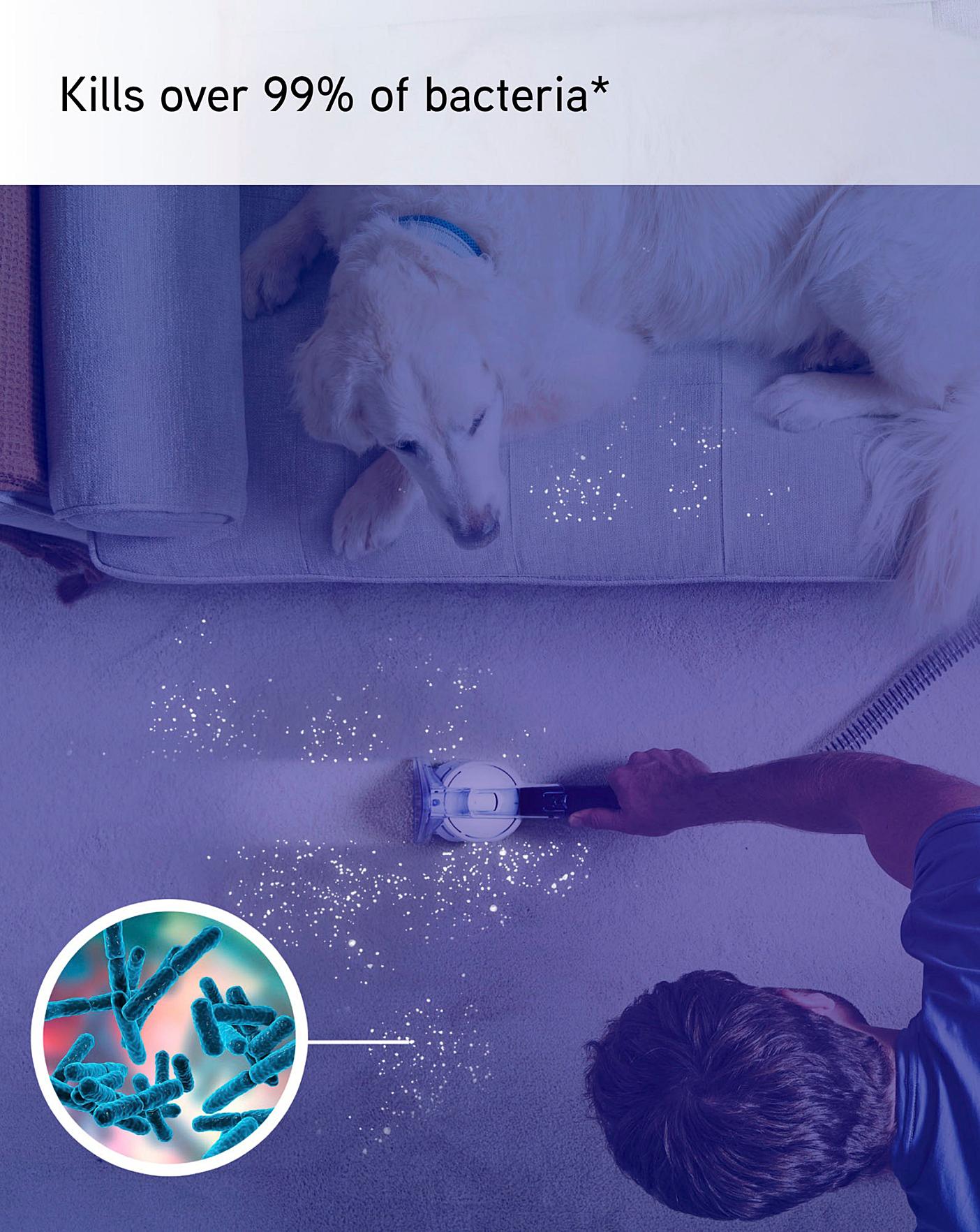  SpotWash Home Pet-Design